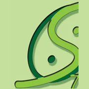 Logo Olistic Studio